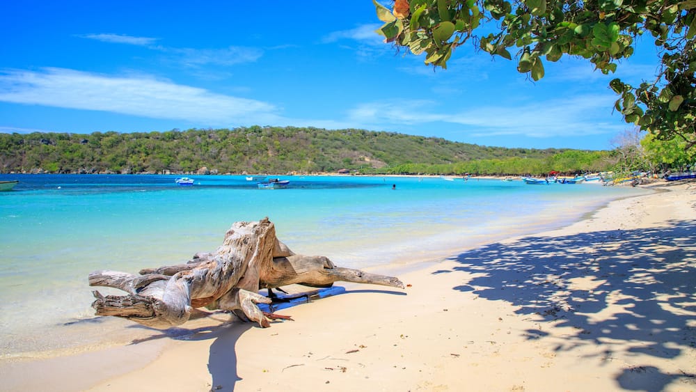 A sandy beach with a large log, clear turquoise water, and boats in the distance.