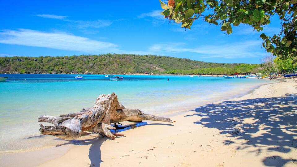 A sandy beach with a large log, clear turquoise water, and boats in the distance.