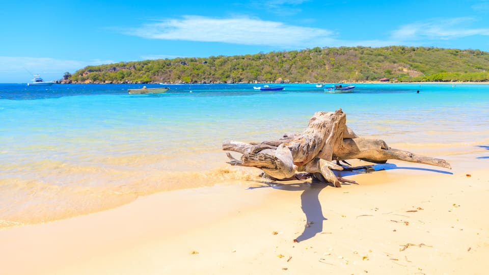 A sandy beach with a large driftwood log in the foreground and a clear blue sea.