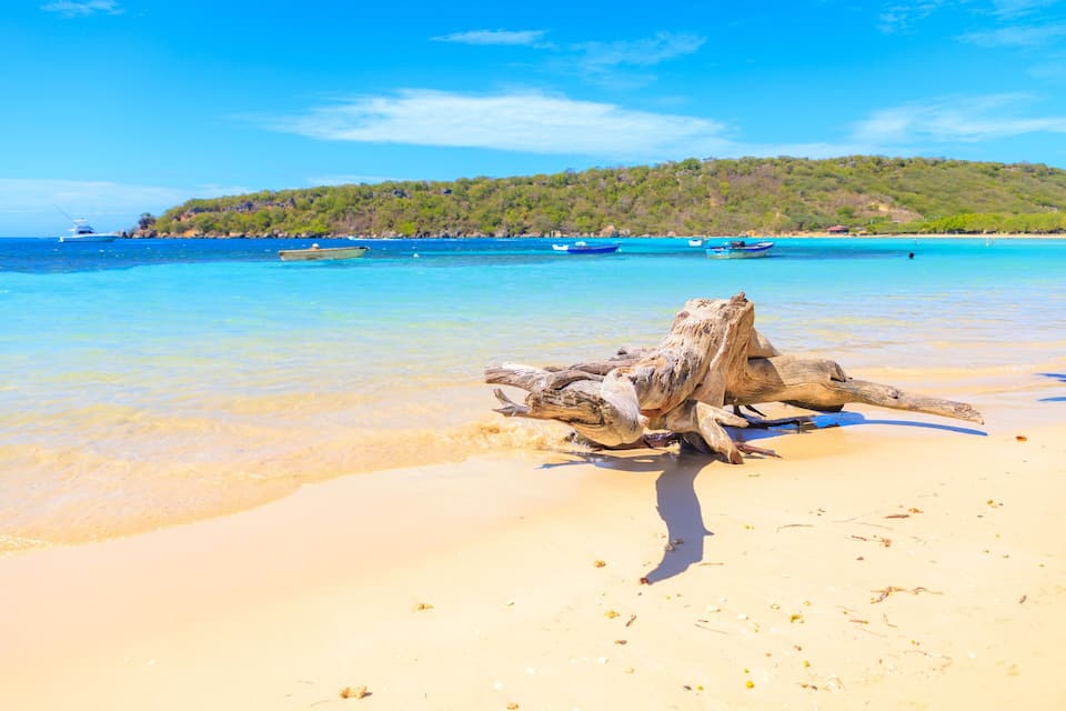 A sandy beach with a large driftwood log in the foreground and a clear blue sea.