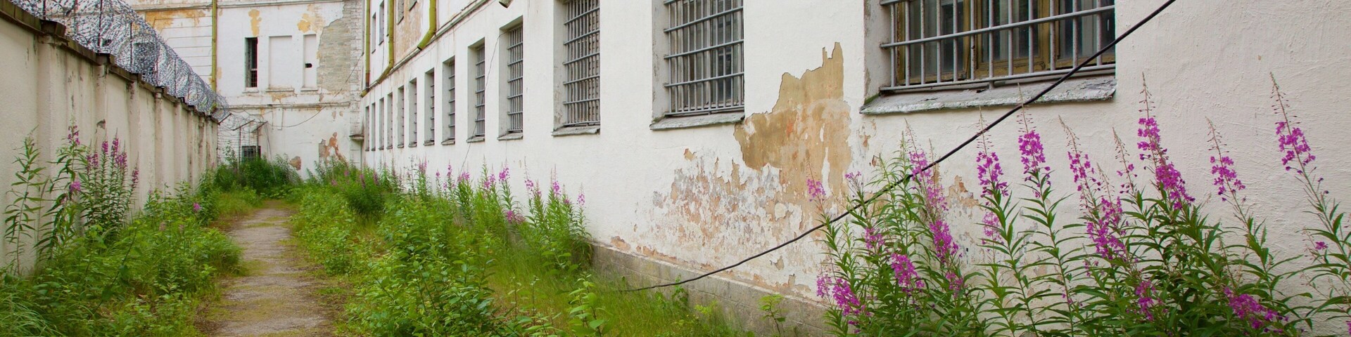 ํ๋ฆฐ ์ ๋ณด์ฌ์ฃผ๋ ๊ฝ