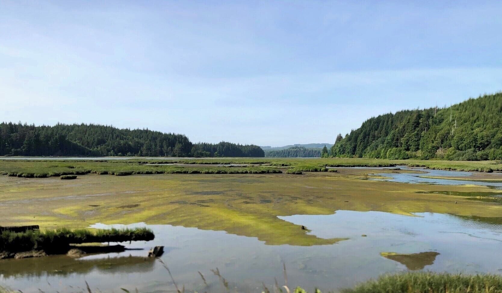 Mudflats Willapa National Wildlife Refuge preserves many of unique ecosystems including salt marshes, muddy tideflats, rain drenched old growth forests, and coastal dunes and beaches. Freshwater marshes and grasslands are found along the southern shore of Willapa Bay. (June 2019)