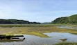 Mudflats Willapa National Wildlife Refuge preserves many of unique ecosystems including salt marshes, muddy tideflats, rain drenched old growth forests, and coastal dunes and beaches. Freshwater marshes and grasslands are found along the southern shore of Willapa Bay. (June 2019)
