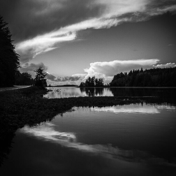We took the scenic route home from Canon Beach, OR.  Feb '16.  Nokia Windows phone, Adobe Photoshop Express.