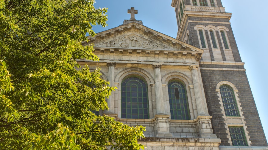 Cathedrale Saint-Francois-Xavier which includes heritage architecture and a church or cathedral