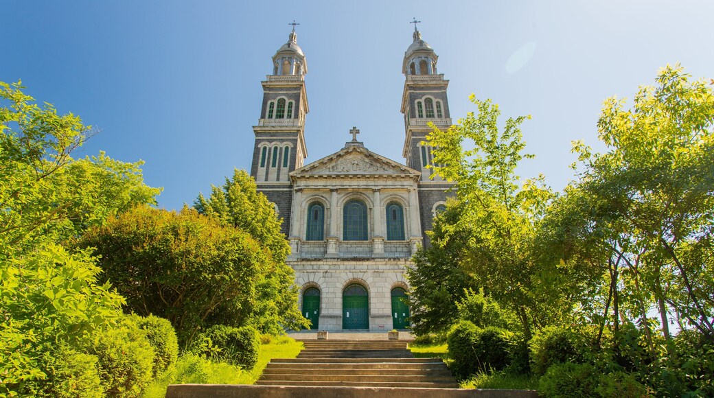 Cathedrale Saint-Francois-Xavier which includes a church or cathedral and heritage architecture