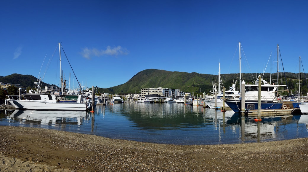 Picton and Marina Panorama in Early Morning, Summer.