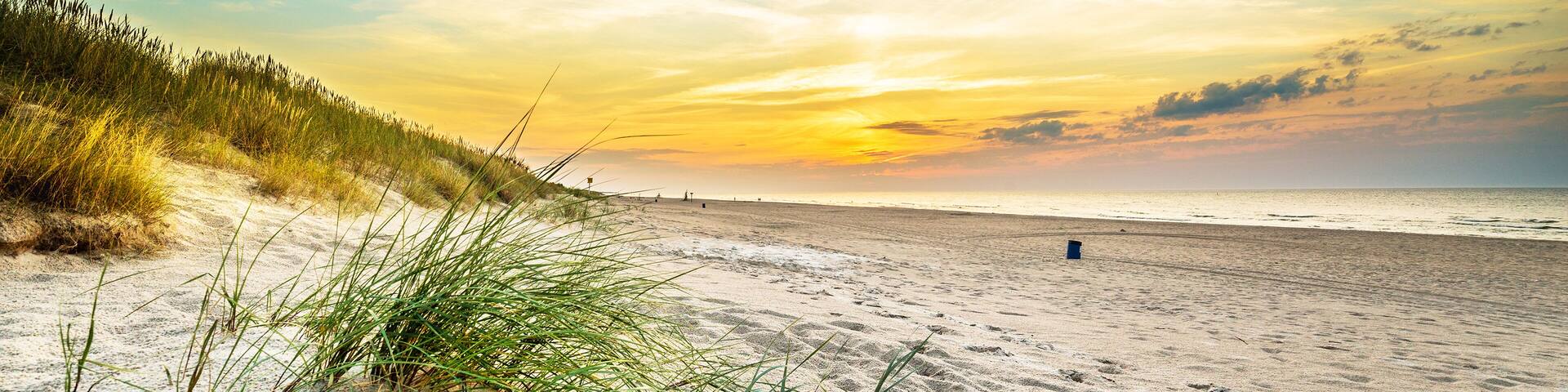 Sand dunes against the sunset light on the beach in northern Poland; Shutterstock ID 544447822; Purchase Order: -