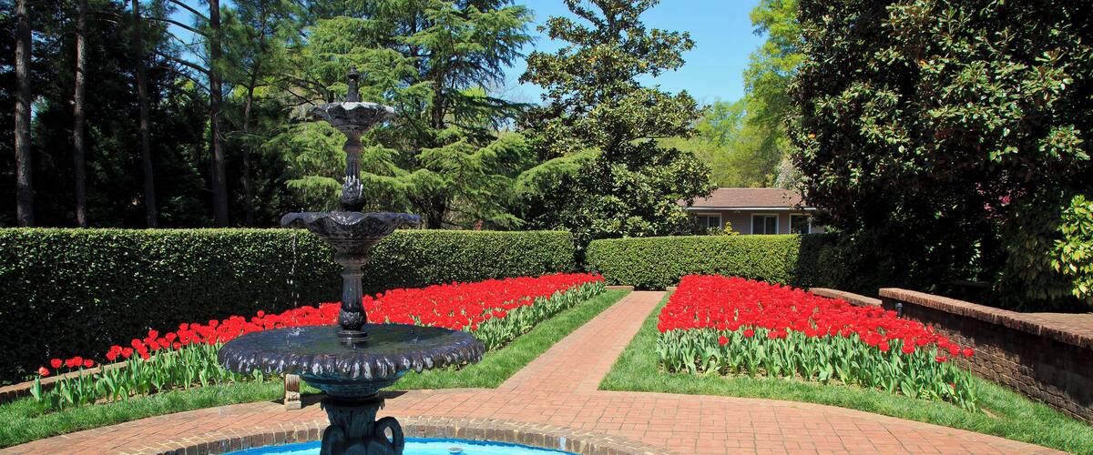 Red tulips in bloom and a water fountain in this garden in North Carolina