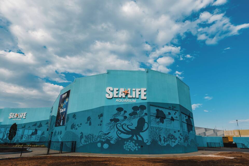 The exterior of the SeaLife Aquarium with a mural of marine life.