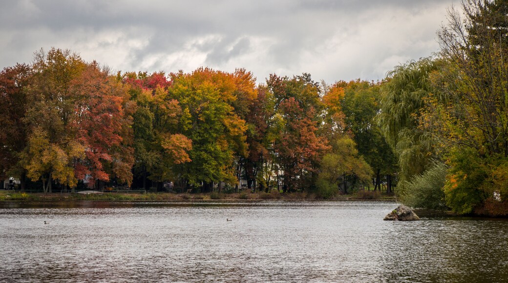 Parque Lake Mansfield