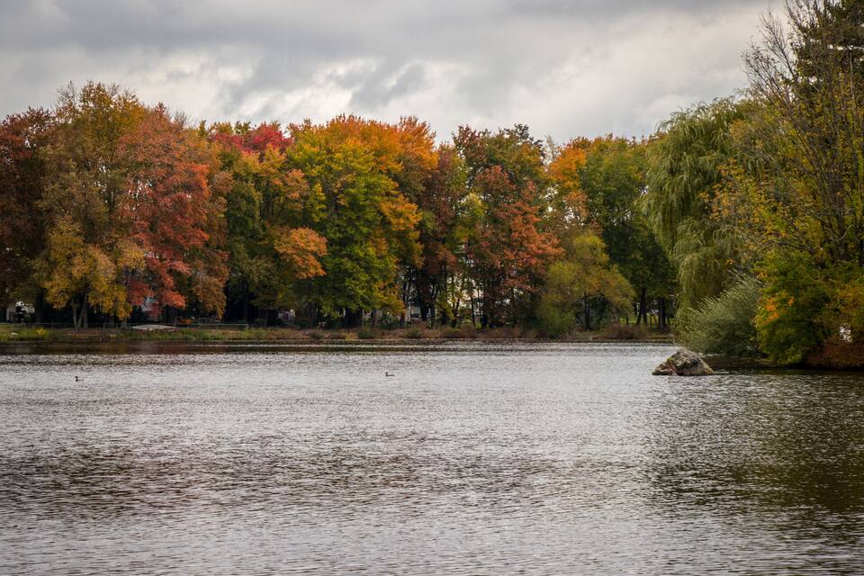 Un llac envoltat d'arbres de colors tardanes.