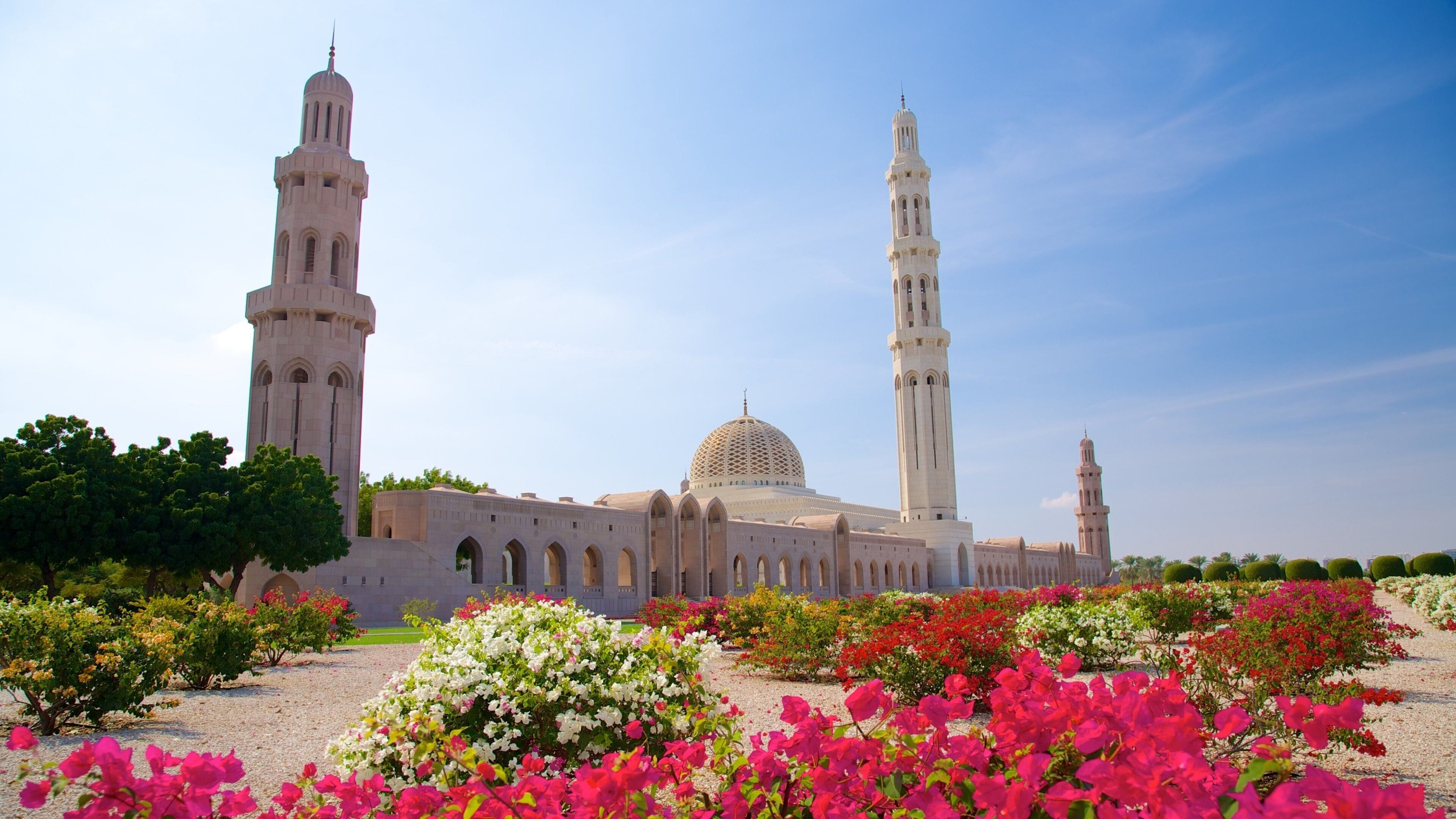 Muscat showing flowers, a mosque and a park