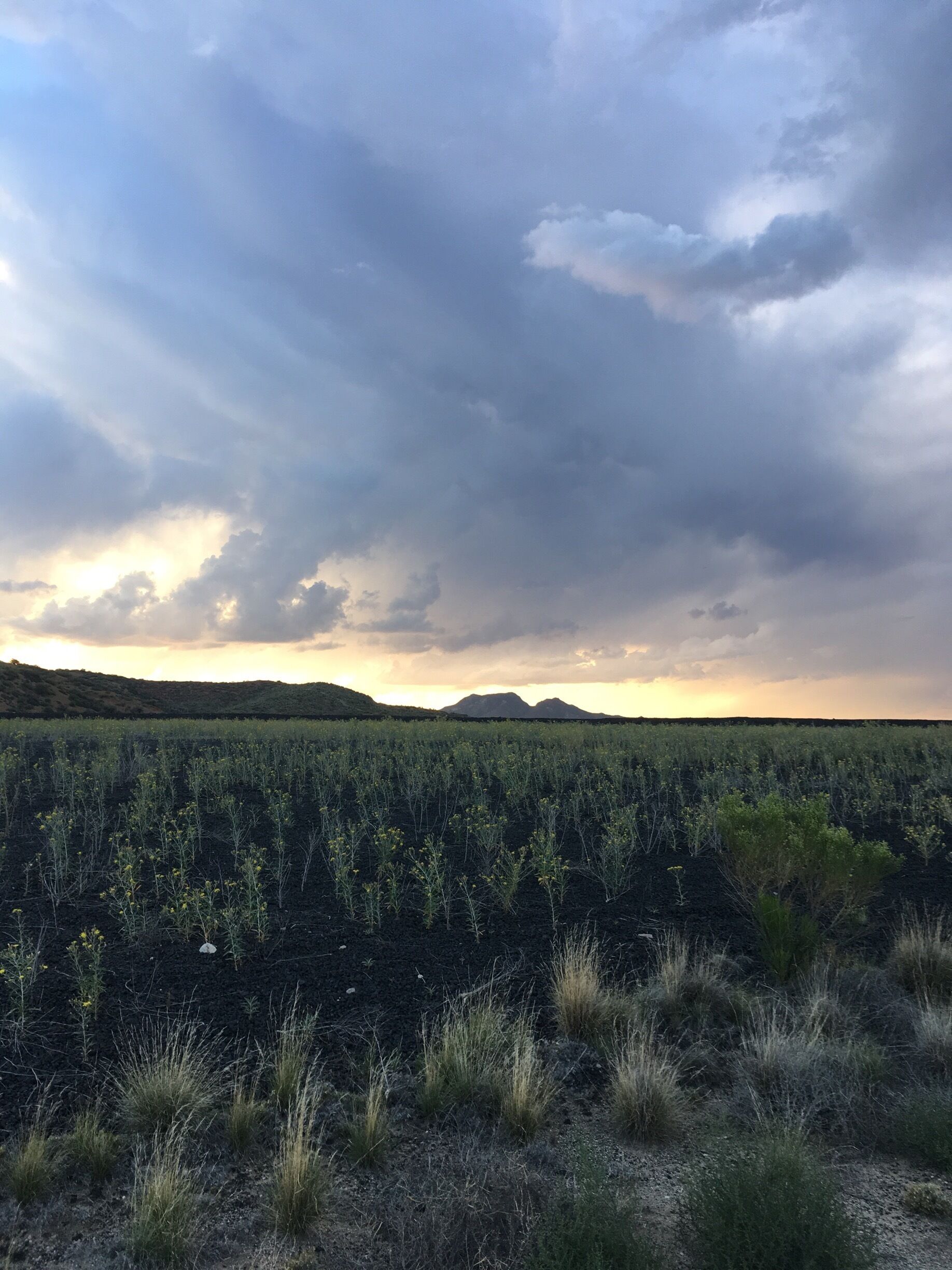 Sleeping beauty in the distance.