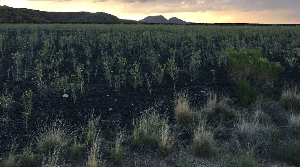 Sleeping beauty in the distance.