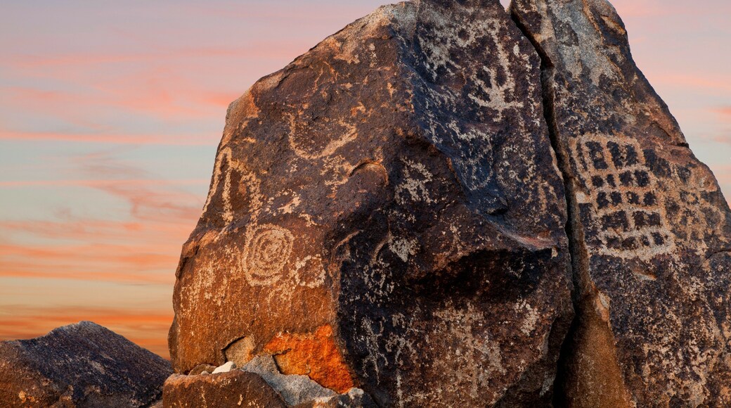 Sitio de petroglifos Painted Rock