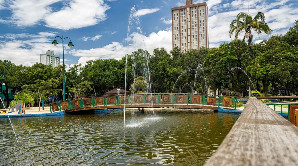 Lake with fountain in Park Santos Dumont, Sao Jose dos Campos, Brazil
