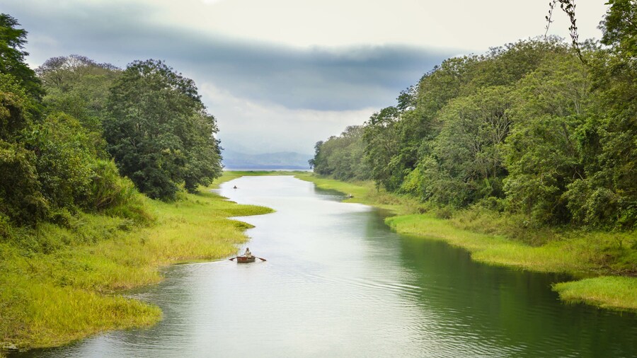 สวนเซ็นทรัลพาร์ค