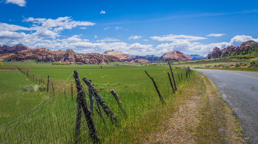 Parque Terrace Hills