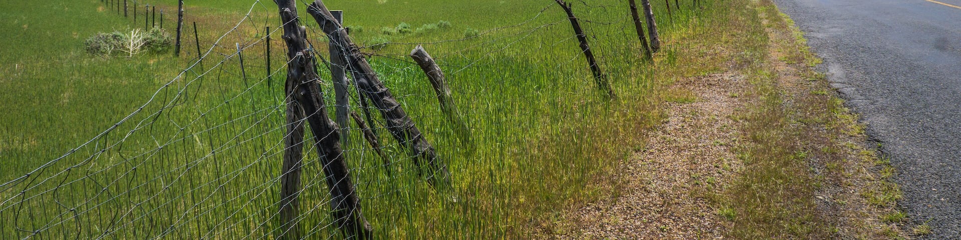 Fields and fence alon the road, with in the background the rock formations of Kolob Terrace in Zion National Park, Utah