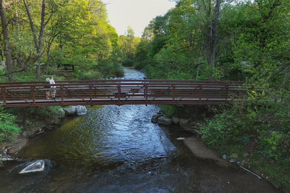 Un pont en bois enjambe une rivière aux eaux vives, le tout étant entouré d’une végétation luxuriante.