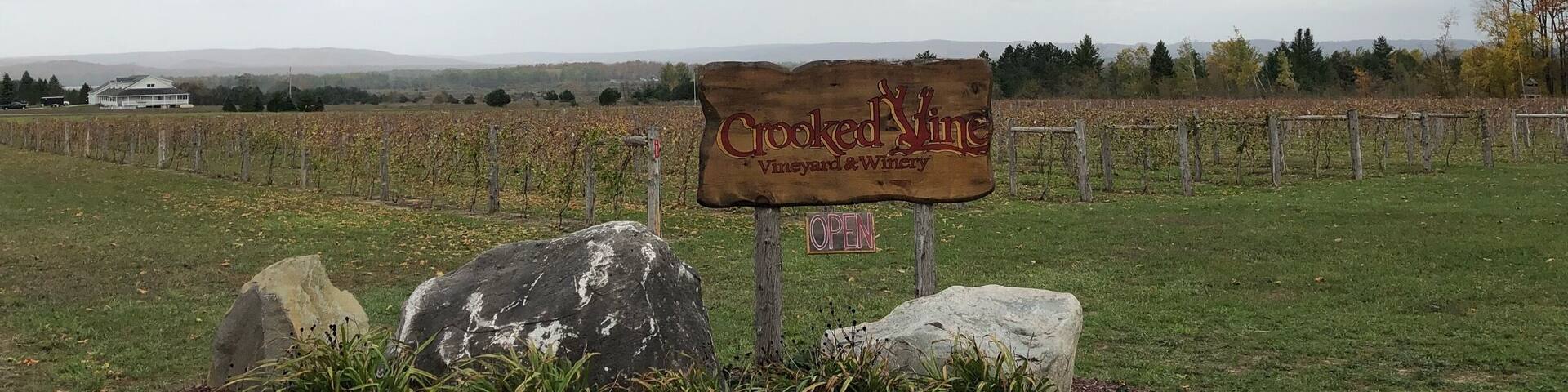 Great little winery. Family owned so be ready to chat a bit if it’s slow. They have an excellent semi-dry white, Frontenac Gris, and I really liked the semi-dry red, Tip of the Mitt 🍷