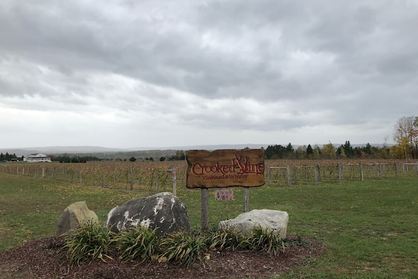 Great little winery. Family owned so be ready to chat a bit if it’s slow. They have an excellent semi-dry white, Frontenac Gris, and I really liked the semi-dry red, Tip of the Mitt 🍷