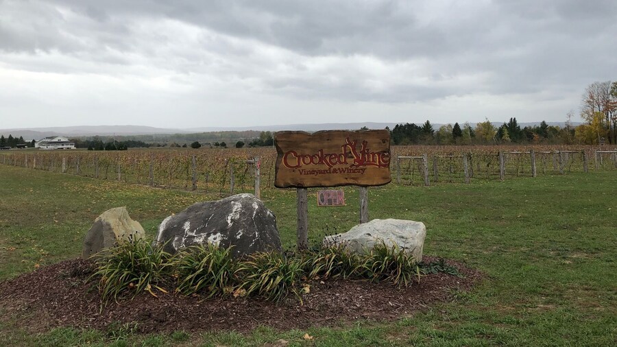 Great little winery. Family owned so be ready to chat a bit if it’s slow. They have an excellent semi-dry white, Frontenac Gris, and I really liked the semi-dry red, Tip of the Mitt 🍷