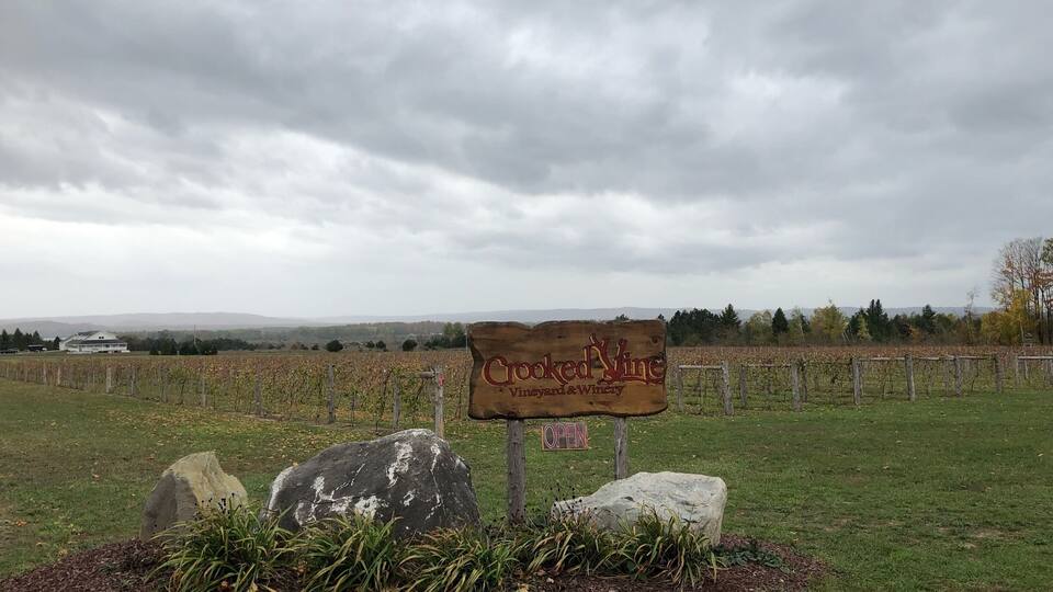 A vineyard with a wooden sign that reads "Crooked Vine Vineyard & Winery."