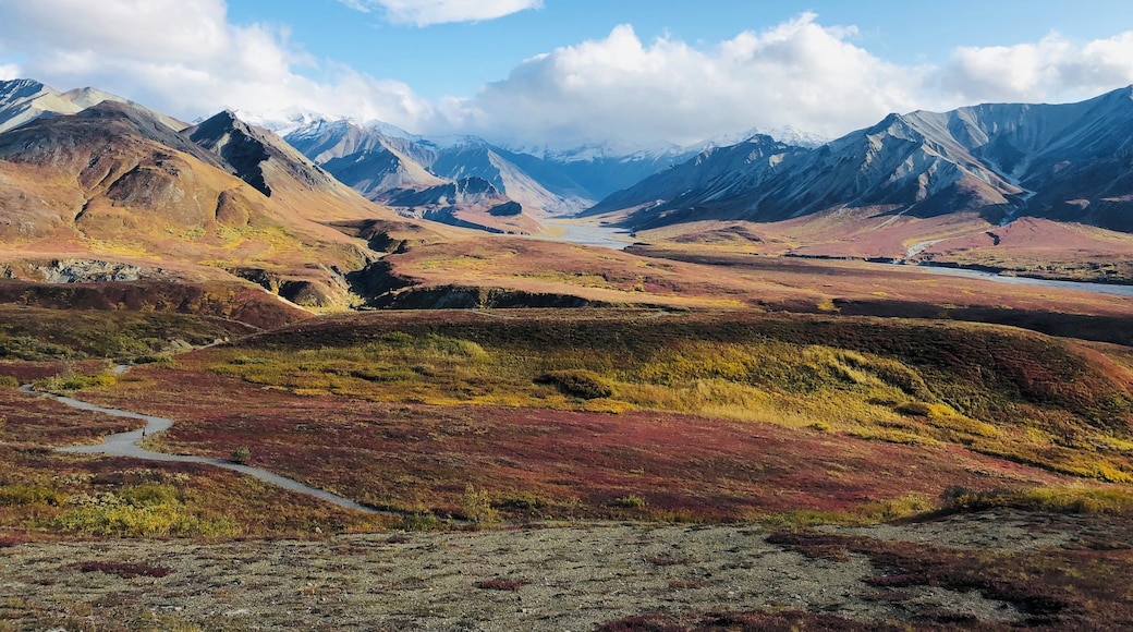 This is a stunning view from the Eielson Visitor Center, Denali National Park with fall colors making this location look prettier #LifeAtExpedia