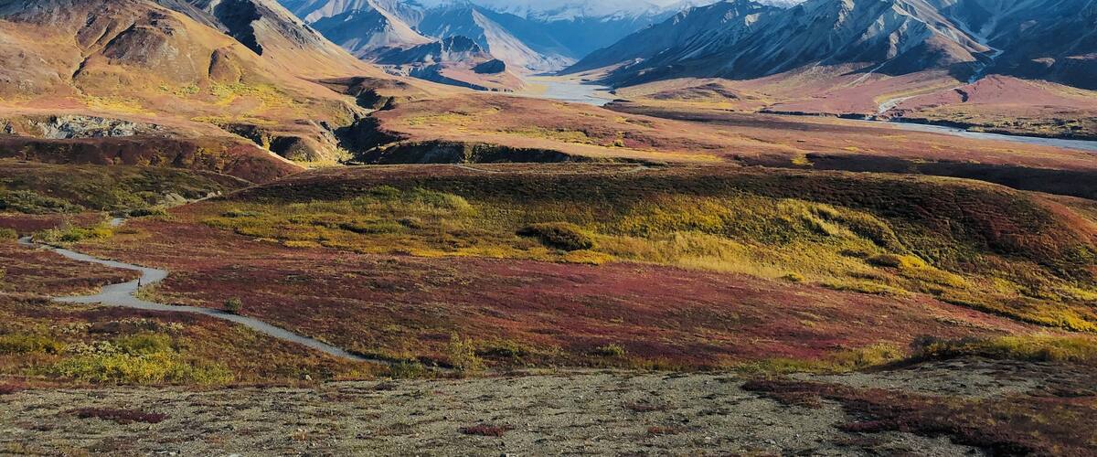 This is a stunning view from the Eielson Visitor Center, Denali National Park with fall colors making this location look prettier #LifeAtExpedia