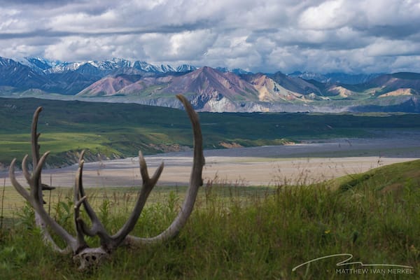 Take the bus tour to Kantishna Roadhouse – it's worth the trip! #Denali #NationalPark