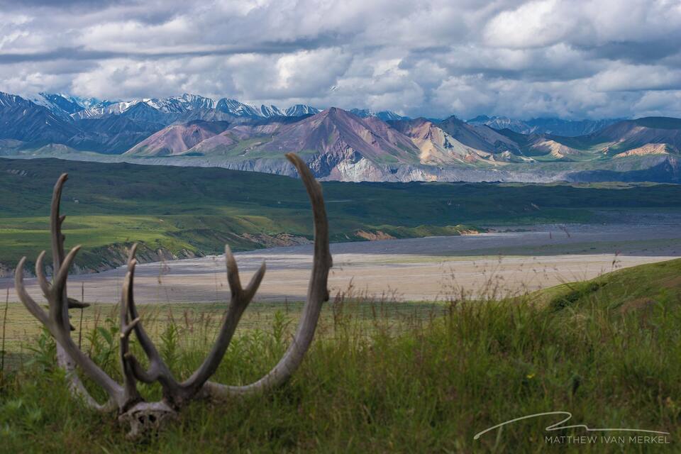 A landscape with mountains, a grassy foreground, and a skull.