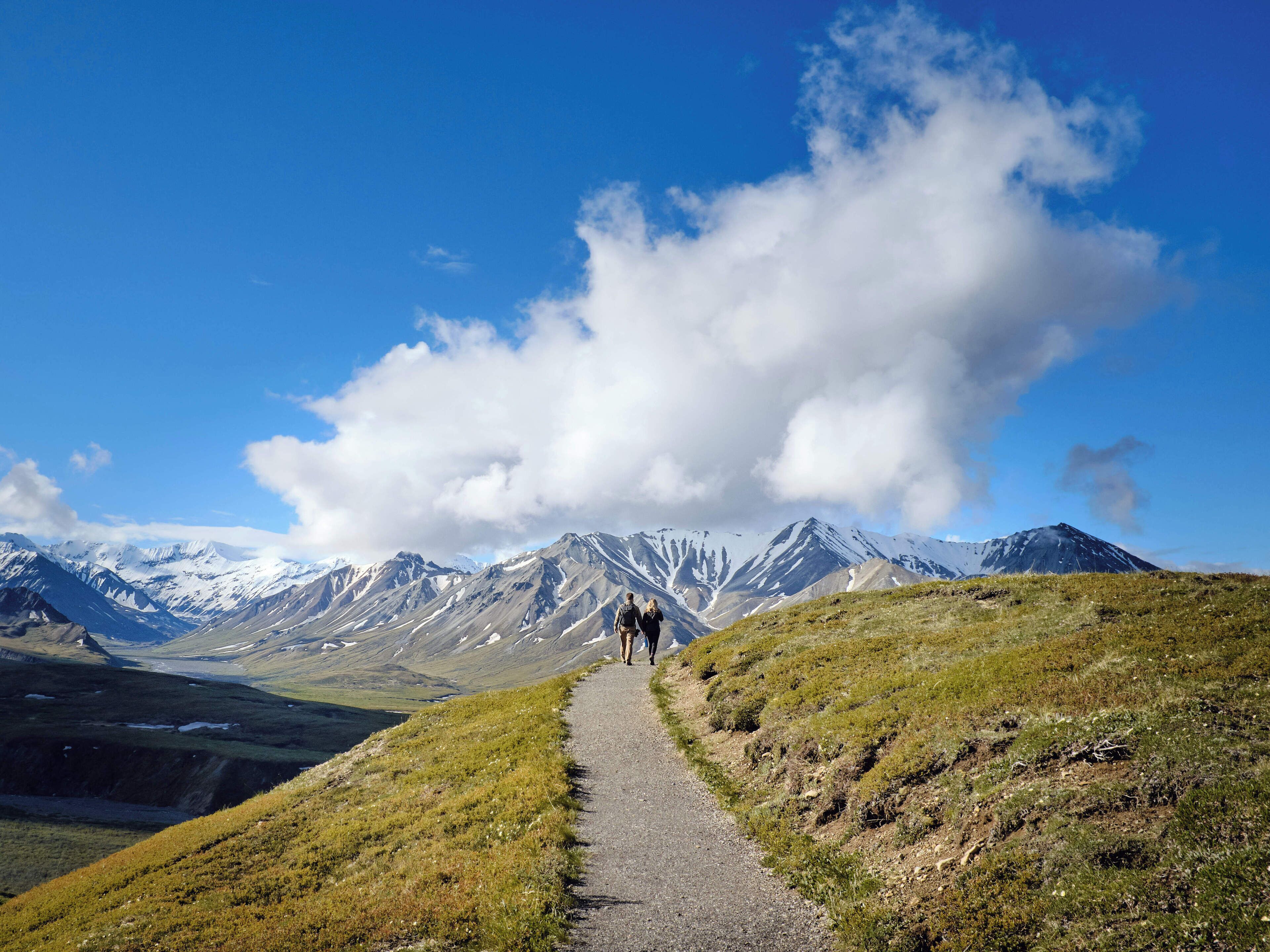 #Adventure Contest 
Hiking in Denali National park. How does that cloud look to you? Personally, it reminds me of a flying pid. :-)