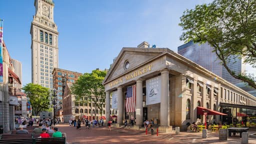 Quincy Market showing a city, an administrative buidling and heritage architecture