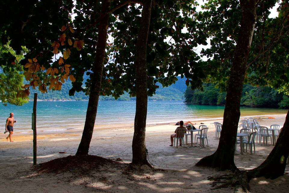 Uma praia com árvores, areal arenoso e mar calmo.