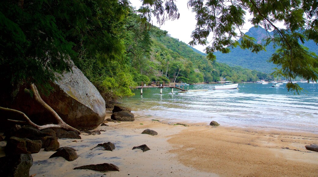 Crena Beach fasiliteter samt kyst, bukt eller havn og tropisk landskap