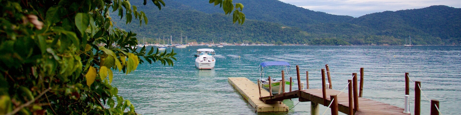 Playa de Crena mostrando una bahía o un puerto