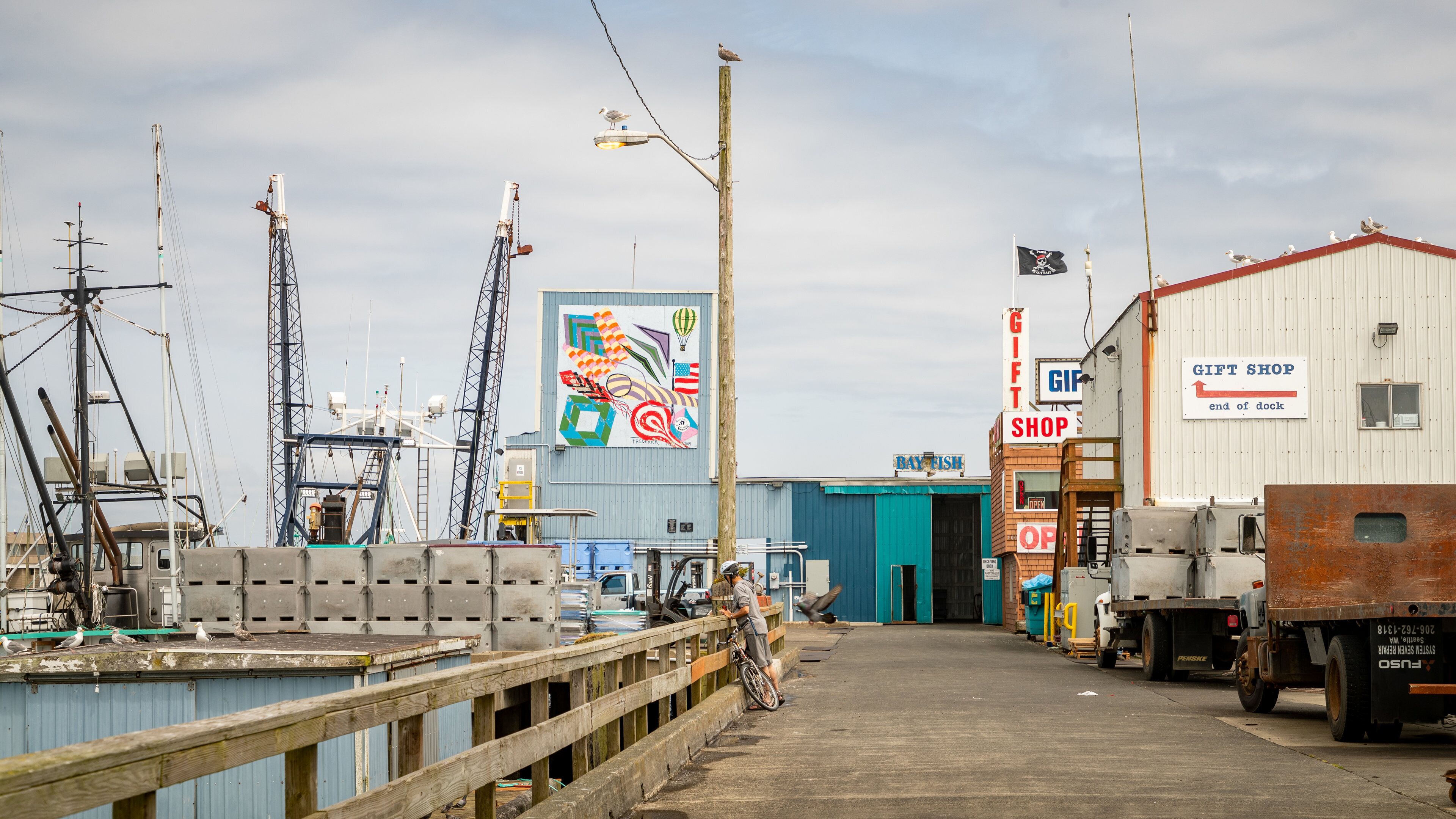 Westport Marina featuring a marina