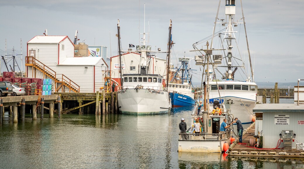 Westport Marina featuring a marina