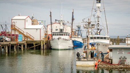 A harbor with several boats docked, including a white and a blue boat named 'Michael Lisa' and 'Jeanette'. There's a building with a red roof and a sign that says 'Gift'.