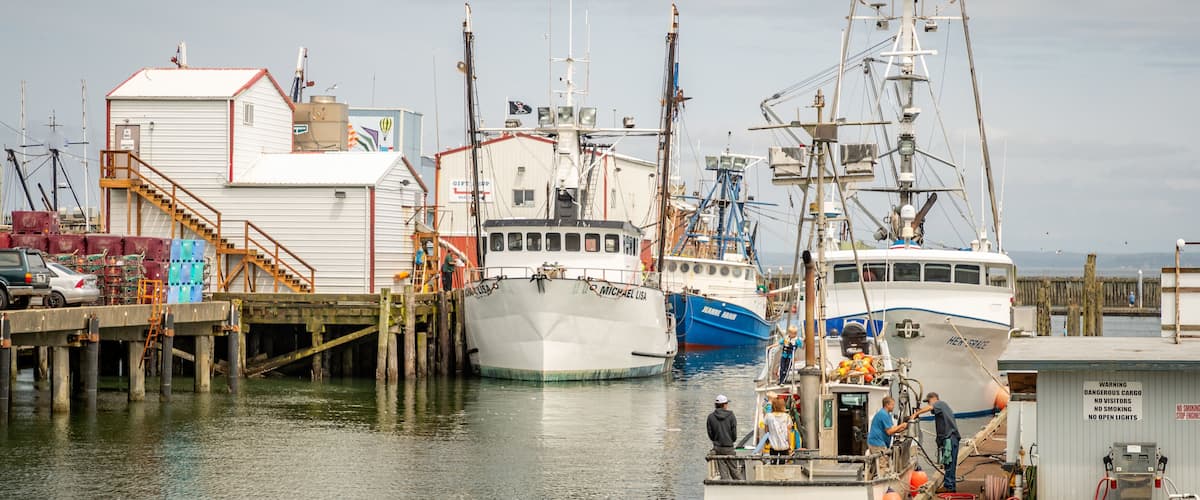 Westport Marina featuring a marina