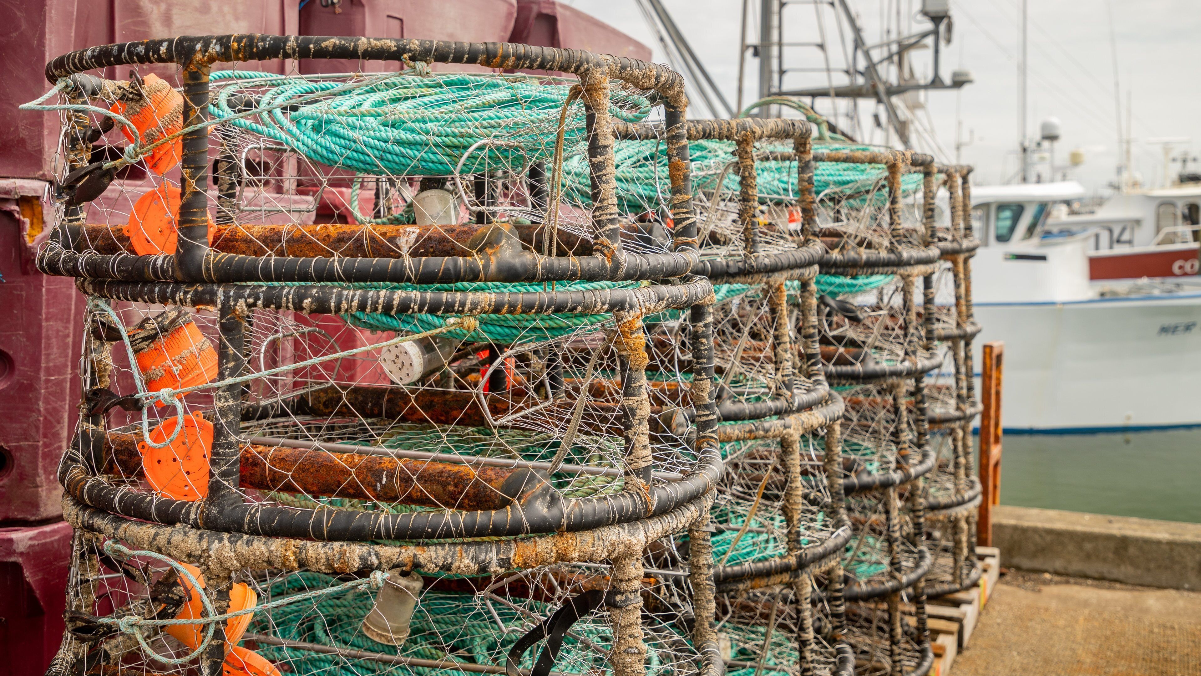 Westport Marina which includes a marina