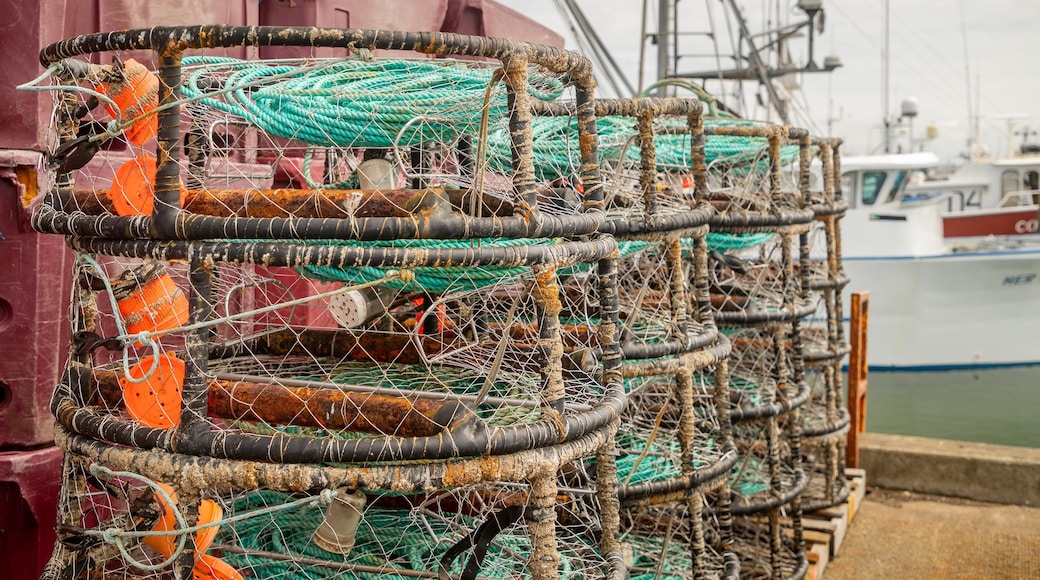 Westport Marina which includes a marina
