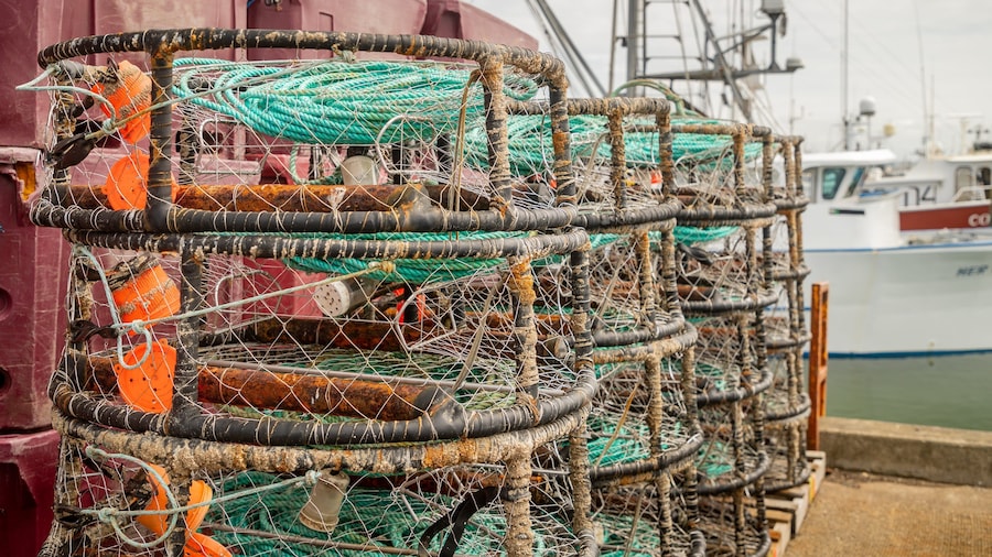 Westport Marina which includes a marina