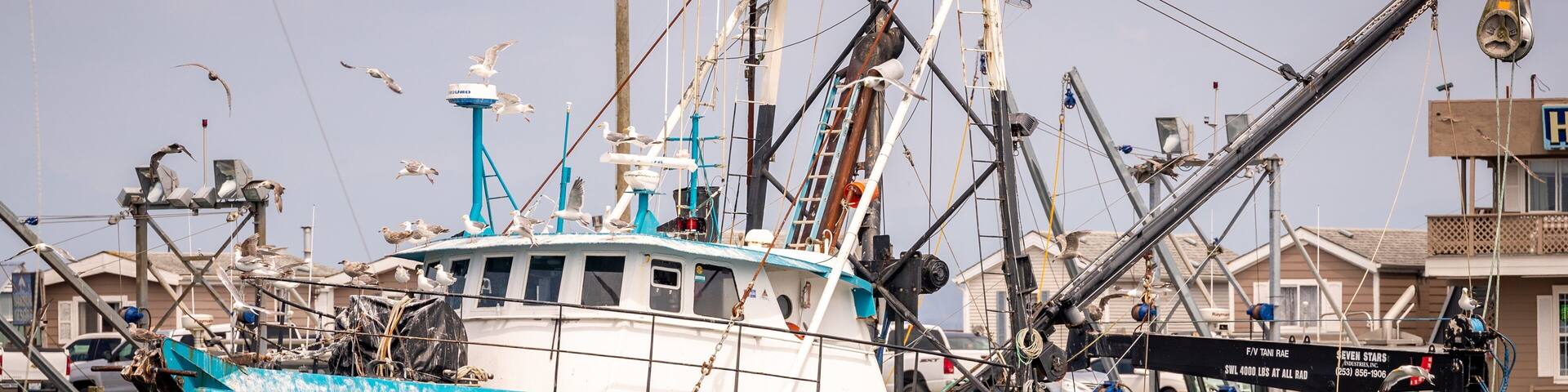 Westport Marina showing a marina