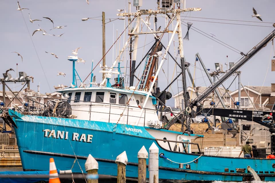 A blue fishing boat named TANI RAE docked at a pier with seagulls flying around.
