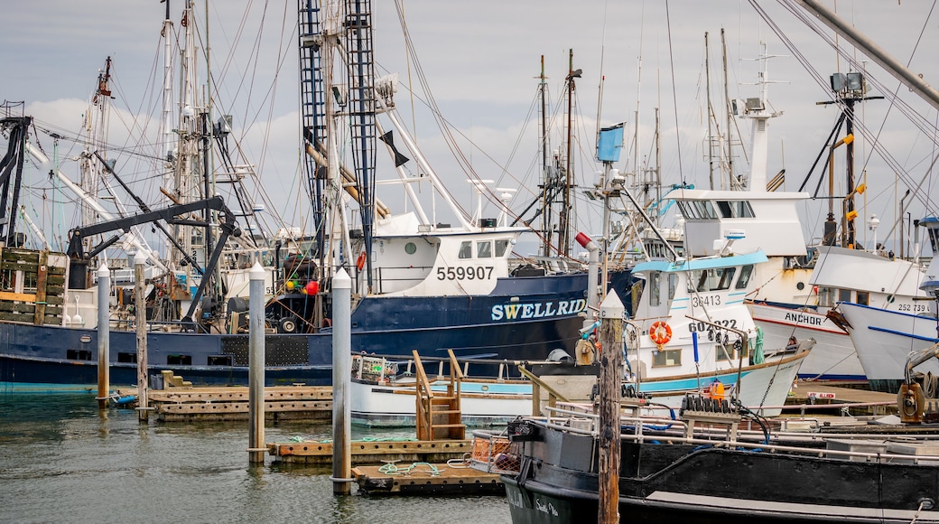 Westport Marina featuring a marina