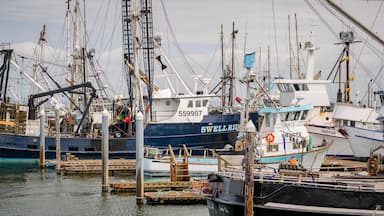 Westport Marina featuring a marina