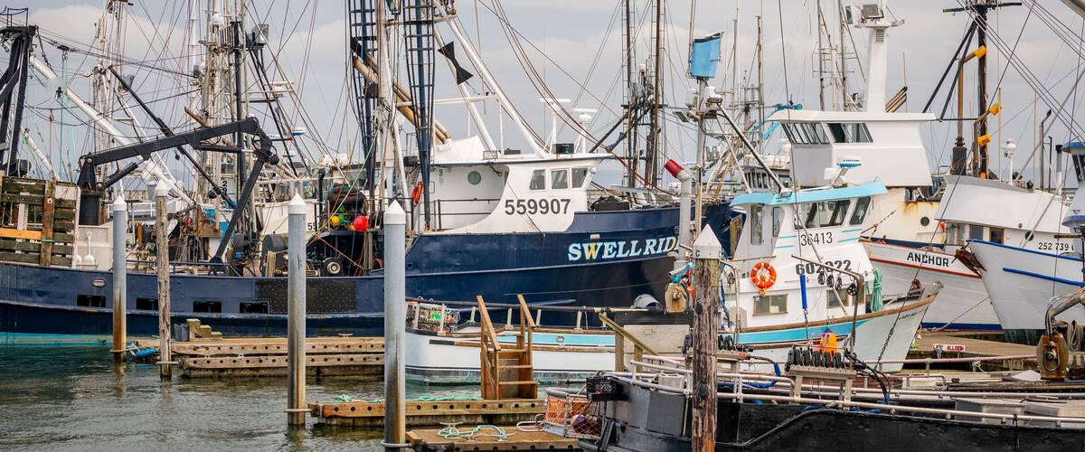 A marina with several boats docked, including a blue boat named 'SWELLRID' and a white boat named 'ANCHOR'.